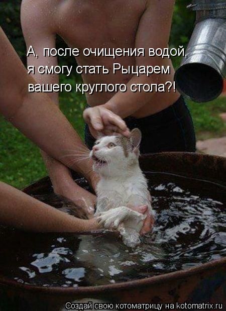 Котоматрицы