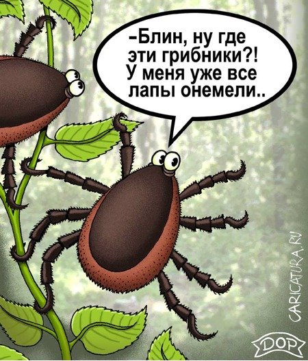 Карикатуры