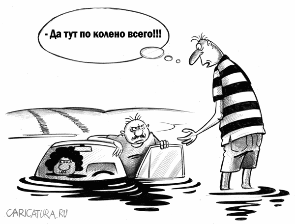 Карикатуры