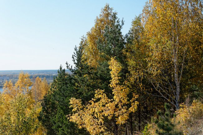 Осень на берегу реки Томь