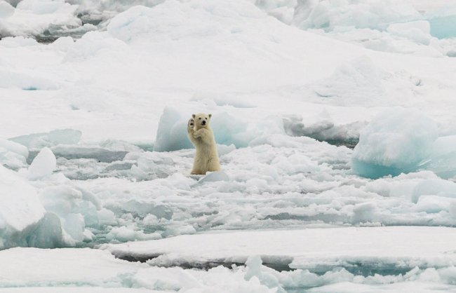 Лучшее с конкурса фотографии National Geographic 2014