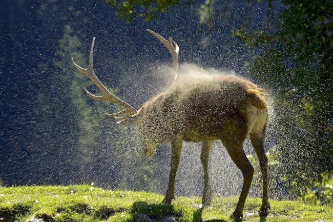 Лучшее с конкурса фотографии National Geographic 2014