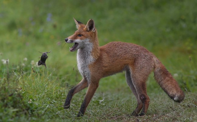 Лучшее с конкурса фотографии National Geographic 2014