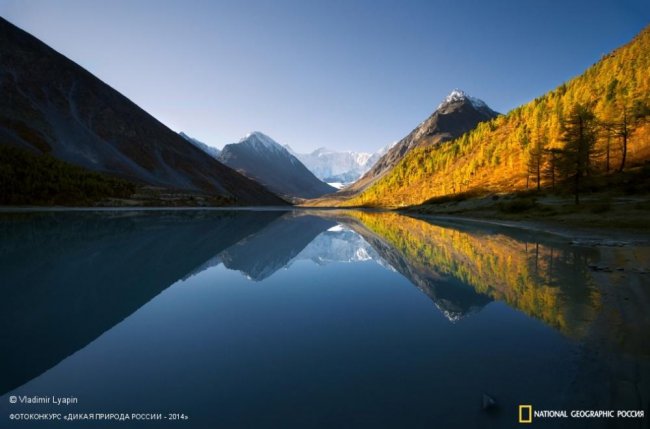 Лучшие фотографии дикой природы России