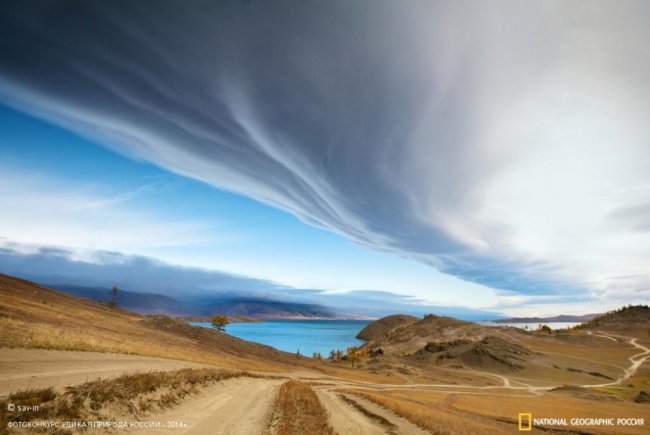 Лучшие фотографии дикой природы России