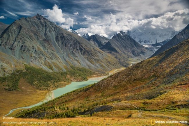 Лучшие фотографии дикой природы России