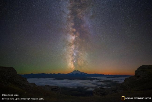 Лучшие фотографии дикой природы России