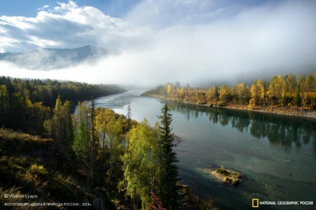 Лучшие фотографии дикой природы России