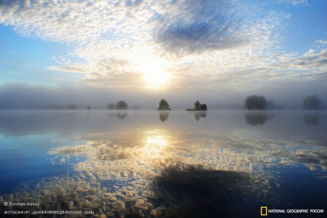 Лучшие фотографии дикой природы России