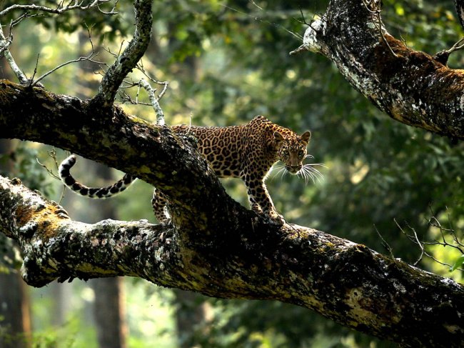 Фотоконкурс Society of Biology Photography Award 2014