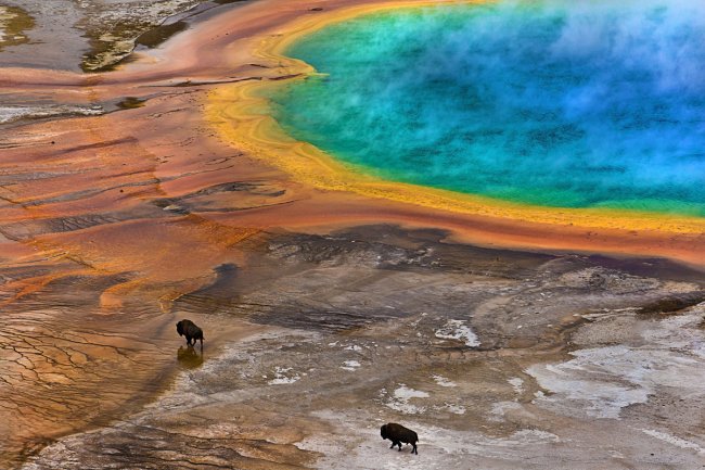 Фотоконкурс Society of Biology Photography Award 2014