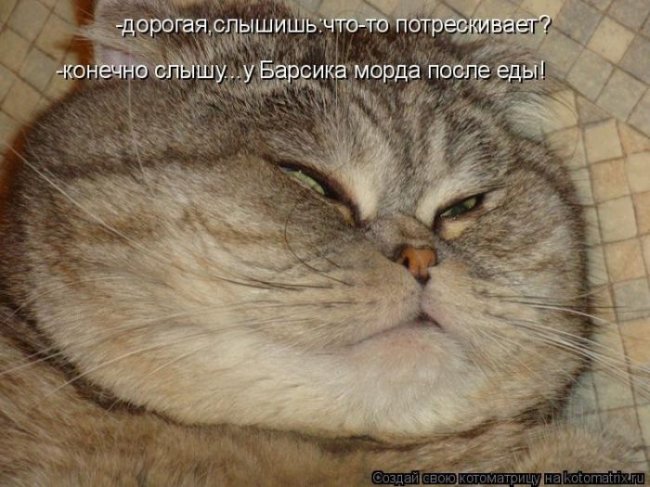 Котоматрицы