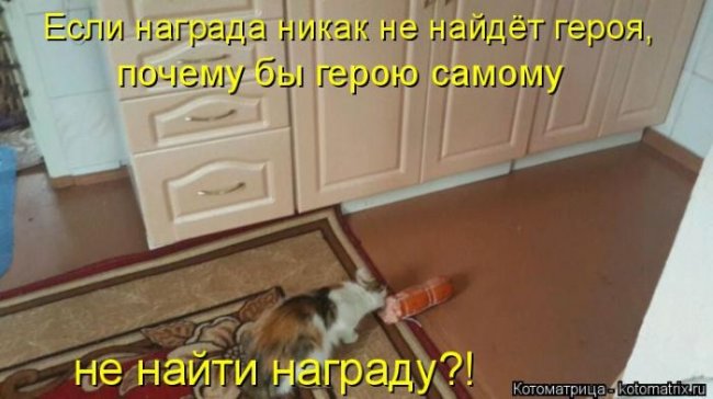 Котоматрицы