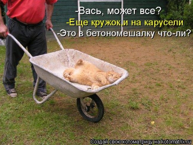 Котоматрицы