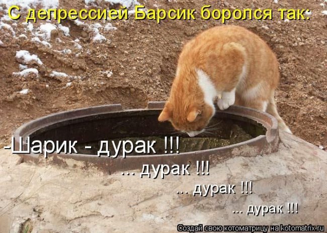 Котоматрицы