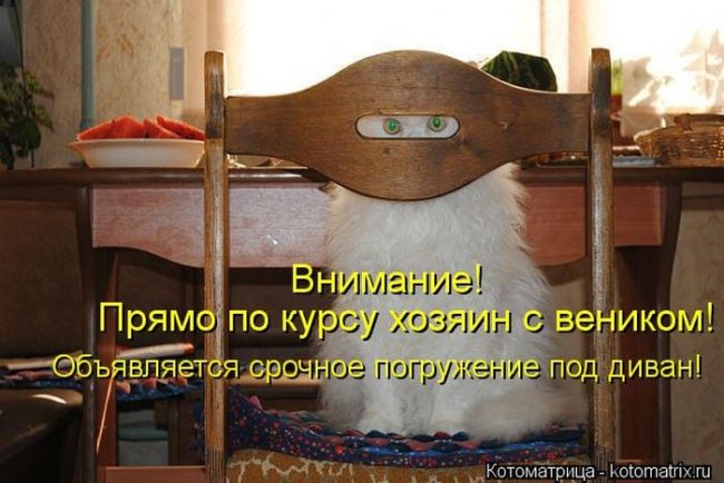 Котоматрицы