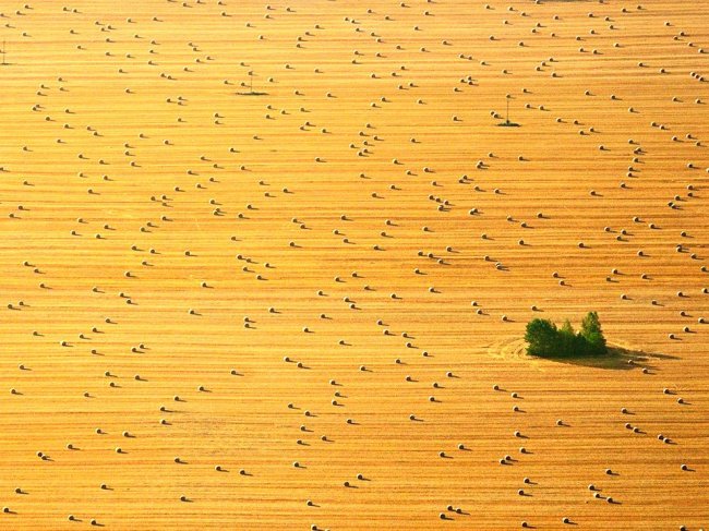 National Geographic: лучшие фотографии октября