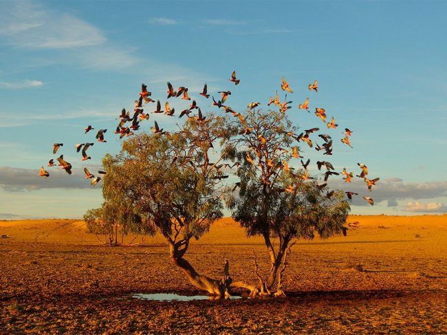 National Geographic: лучшие фотографии октября