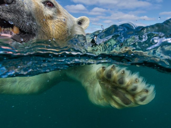 National Geographic: лучшие фотографии октября