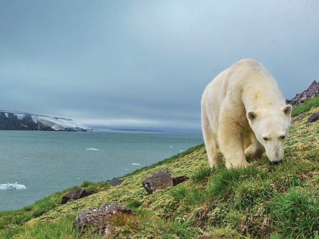 National Geographic: лучшие фотографии октября