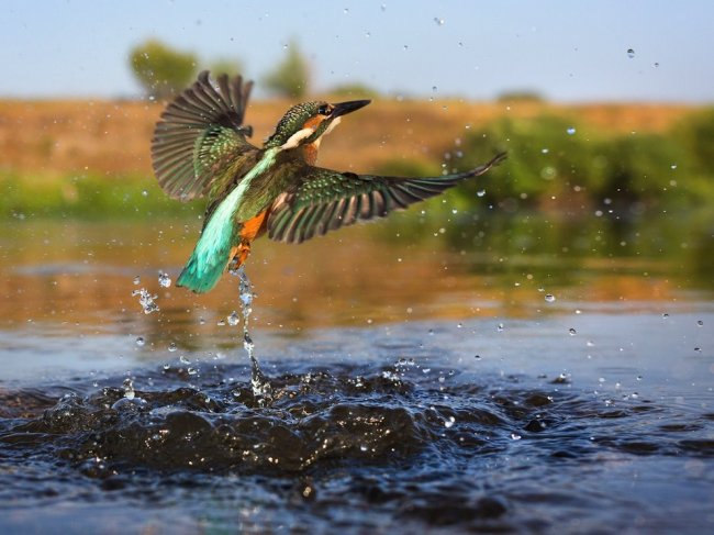 National Geographic: лучшие фотографии октября