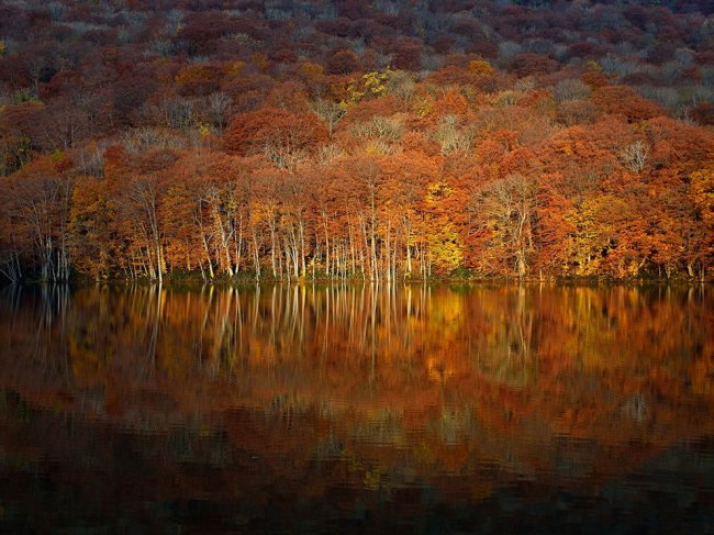 Лучшие фотографии National Geographic октября 2014