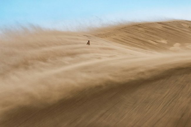 National Geographic: лучший фотограф природы 2017
