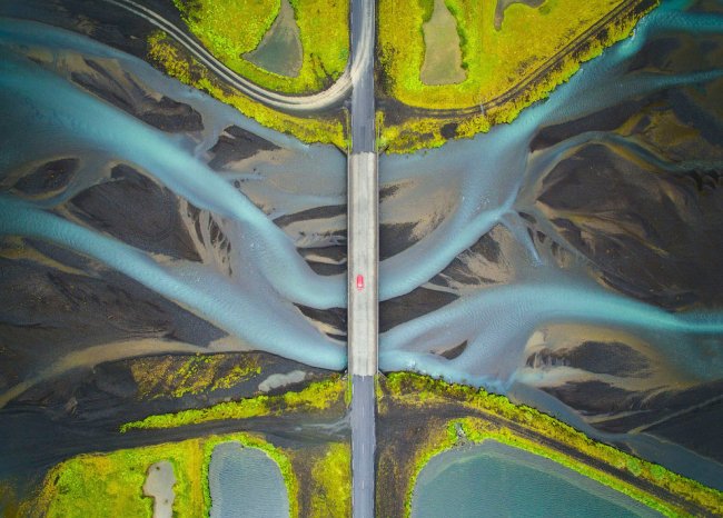 National Geographic: лучший фотограф природы 2017