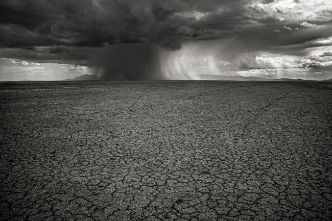 National Geographic: лучший фотограф природы 2017