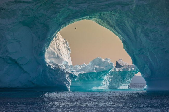 National Geographic: лучший фотограф природы 2017